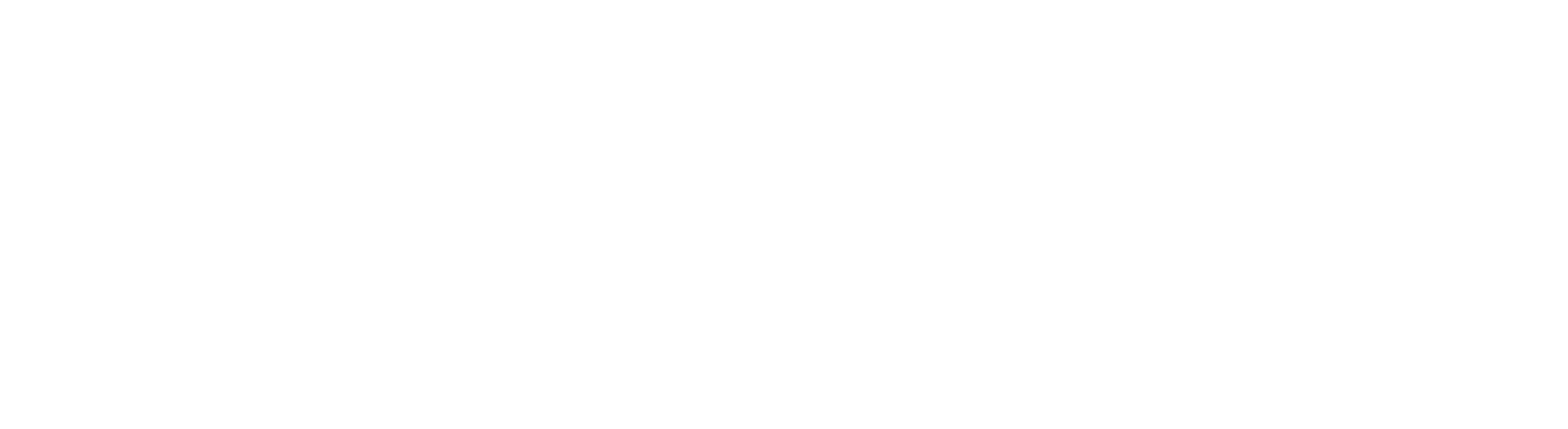 The Ambati